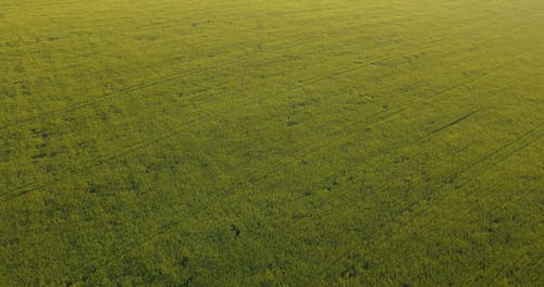 A Drone Footage of a Countryside