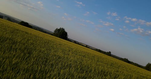 Drone Footage Of Cropland At Sunset