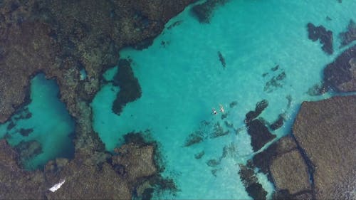 People Swimming in the Lagoon