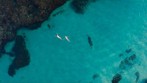 Women Swimming in the Ocean