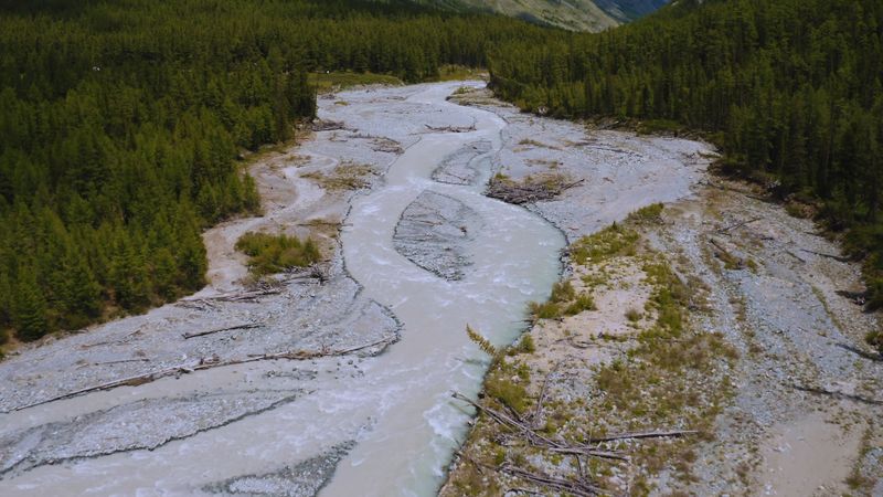 A Drone shot of a River in the Forest Free Stock Video Footage, Royalty ...