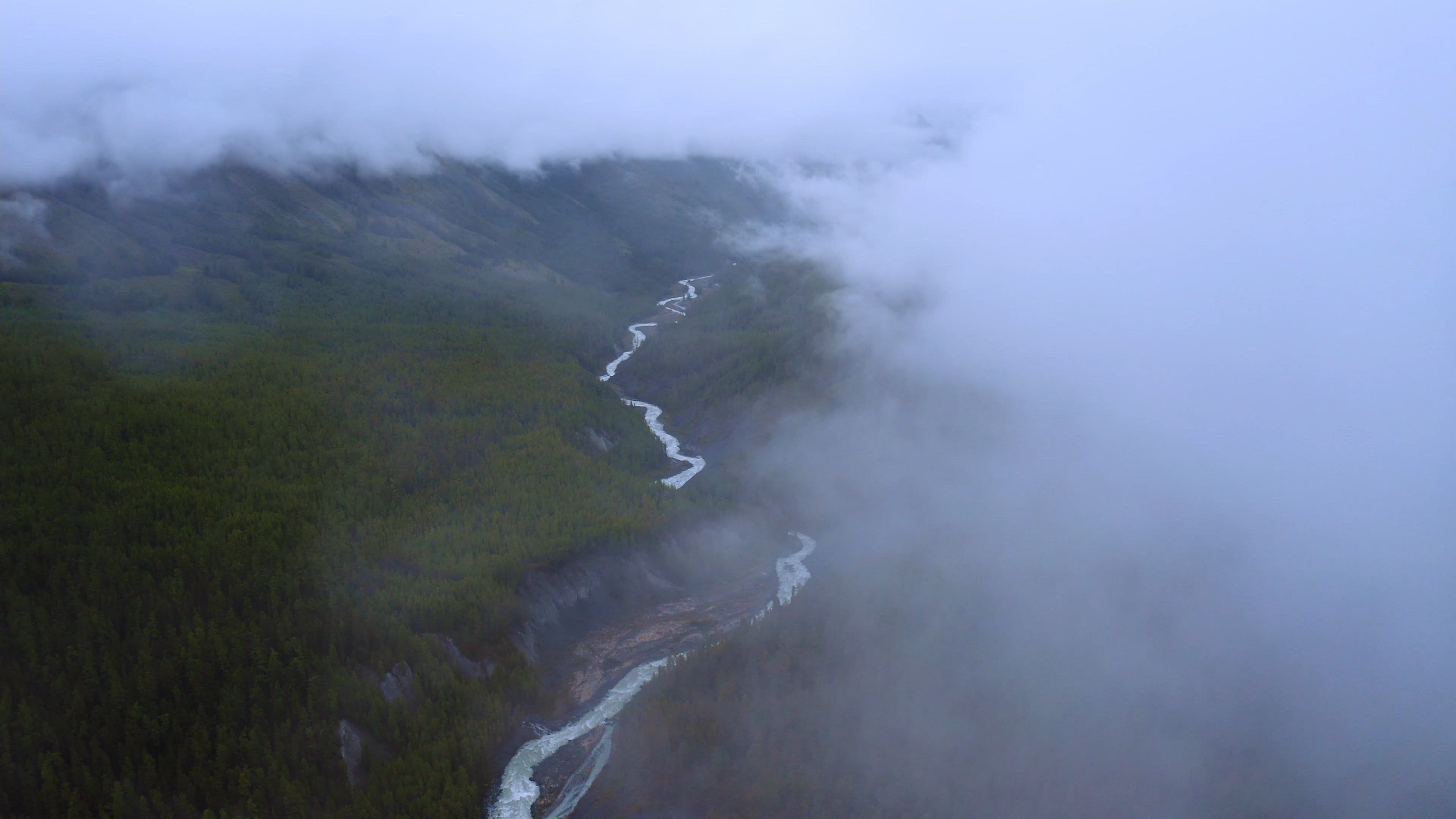 Drone Footage of a Trees and River Free Stock Video Footage, Royalty ...