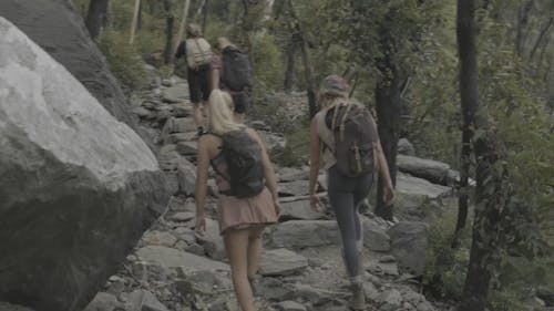 People Walking Uphill on a Rocky Trail