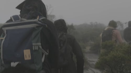 People Climbing the Mountain