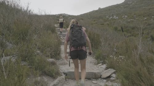 People doing Hiking 