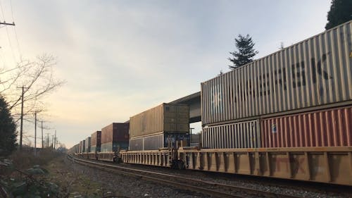 A Cargo Train Passing by