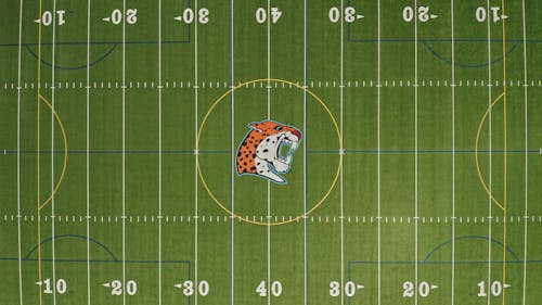 Birds Eye View of a Football Field