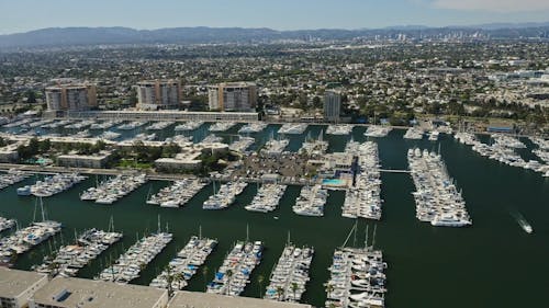Aerial View of the Port in the City