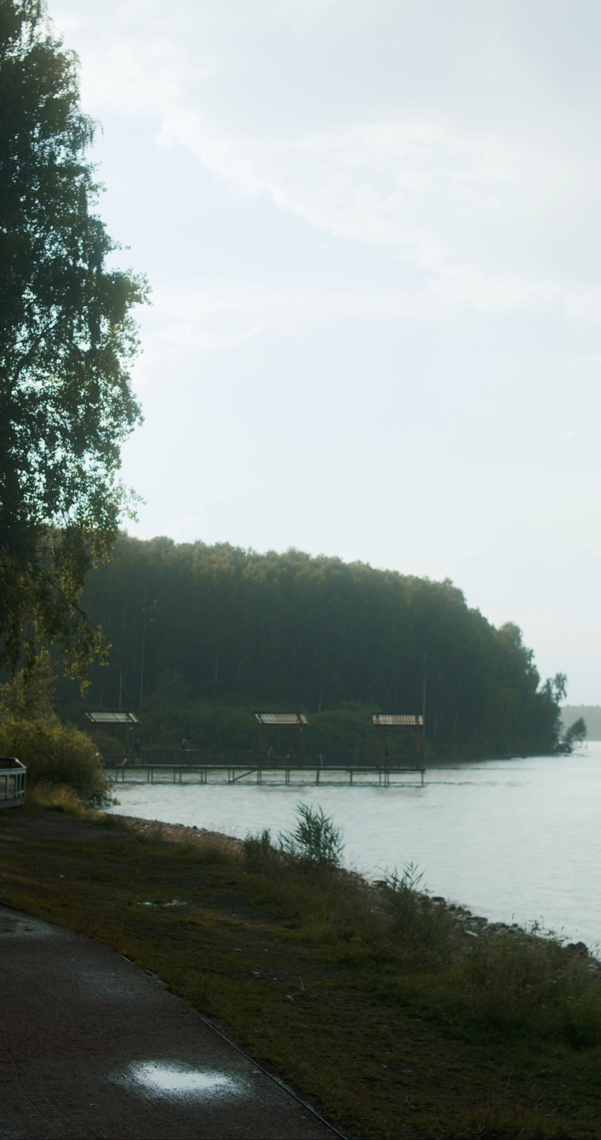 Video by Anastasia  Shuraeva