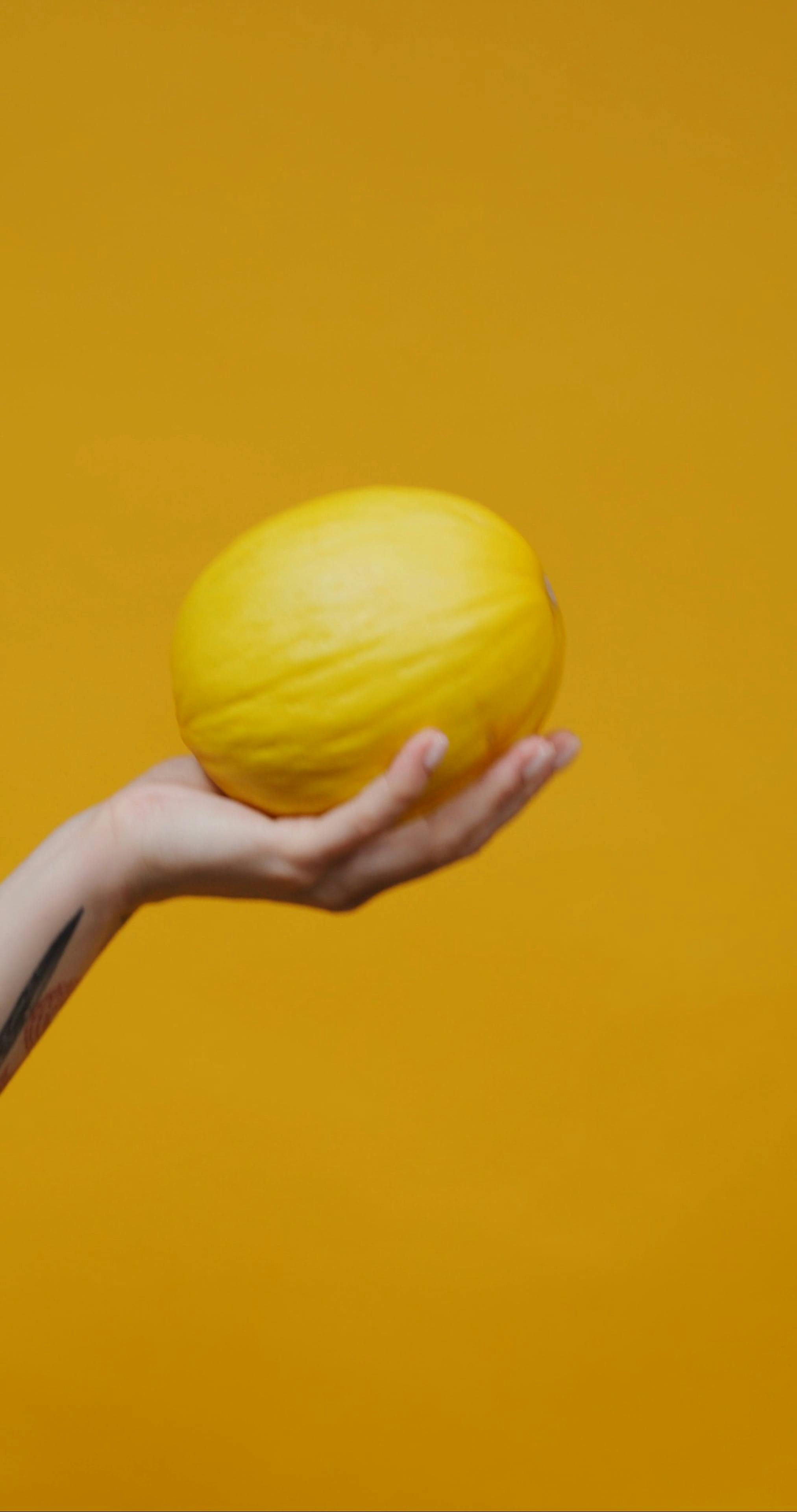 Person Holding a Melon · Free Stock Video
