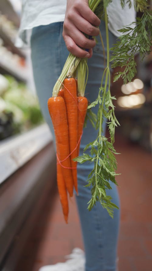 Person Holding Carrots