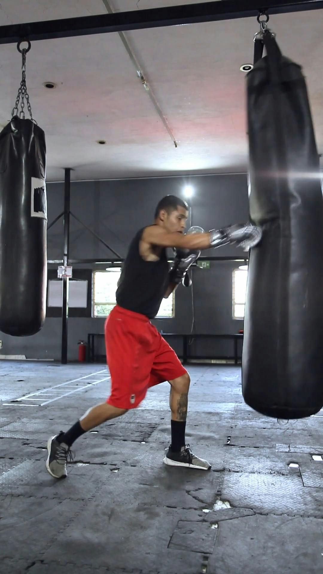 A Man Showing His Punching Skills Inside the Boxing Ring · Free Stock Video