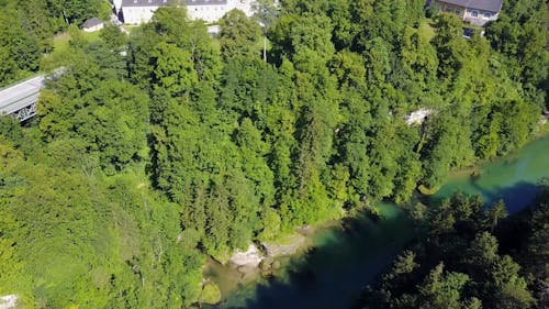 Drone Footage of a Body of Water between Dense Vegetation