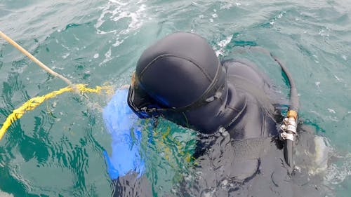 A Man wearing Diving Gear in the Sea