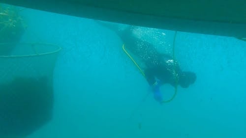 A Person Diving Underwater