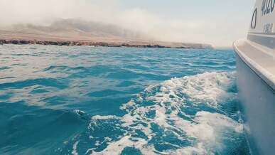 side view of a motor boat in the sea