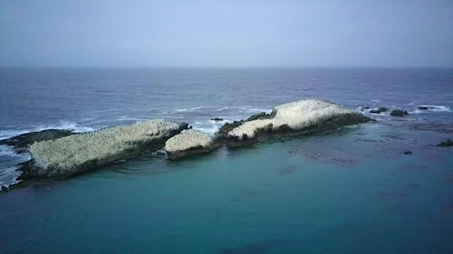 Aerial View of Cormorants and Sea Lions on a Rock