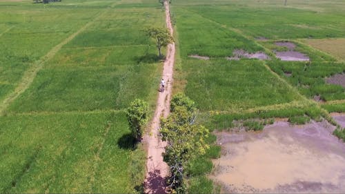 Aerial Footage of People Biking on a Green Field