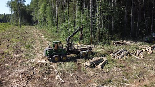 Heavy Machinery Loading Tree Logs