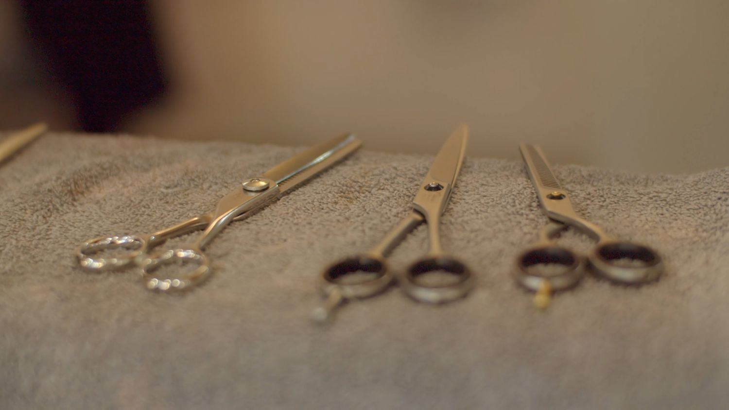 Scissors Videos, Download The BEST Free 4k Stock Video Footage ...