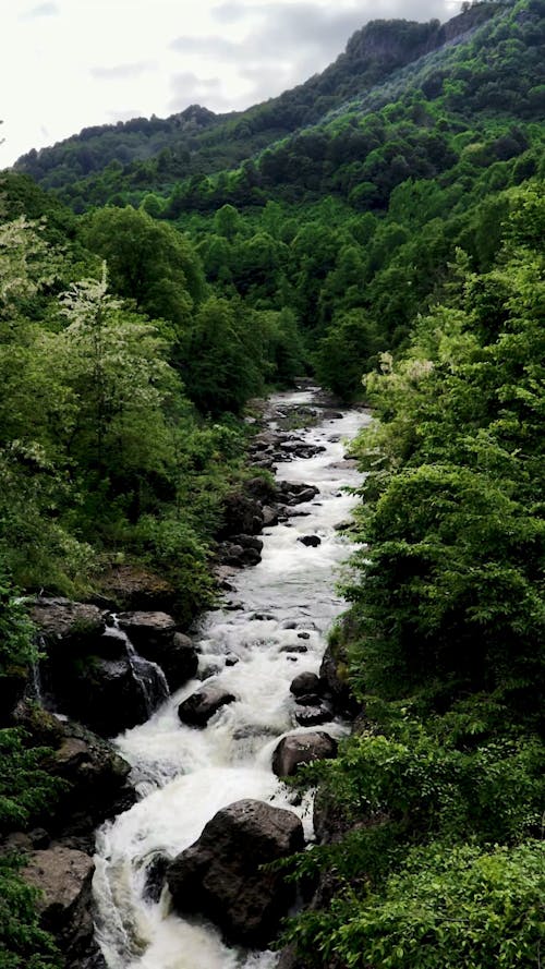 Mountain Scene With River 