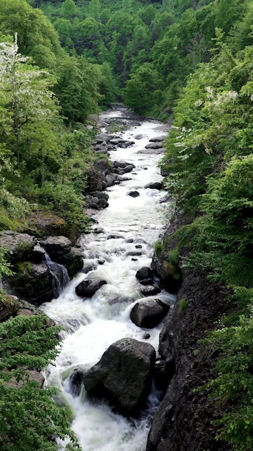 Rocky Mountain River