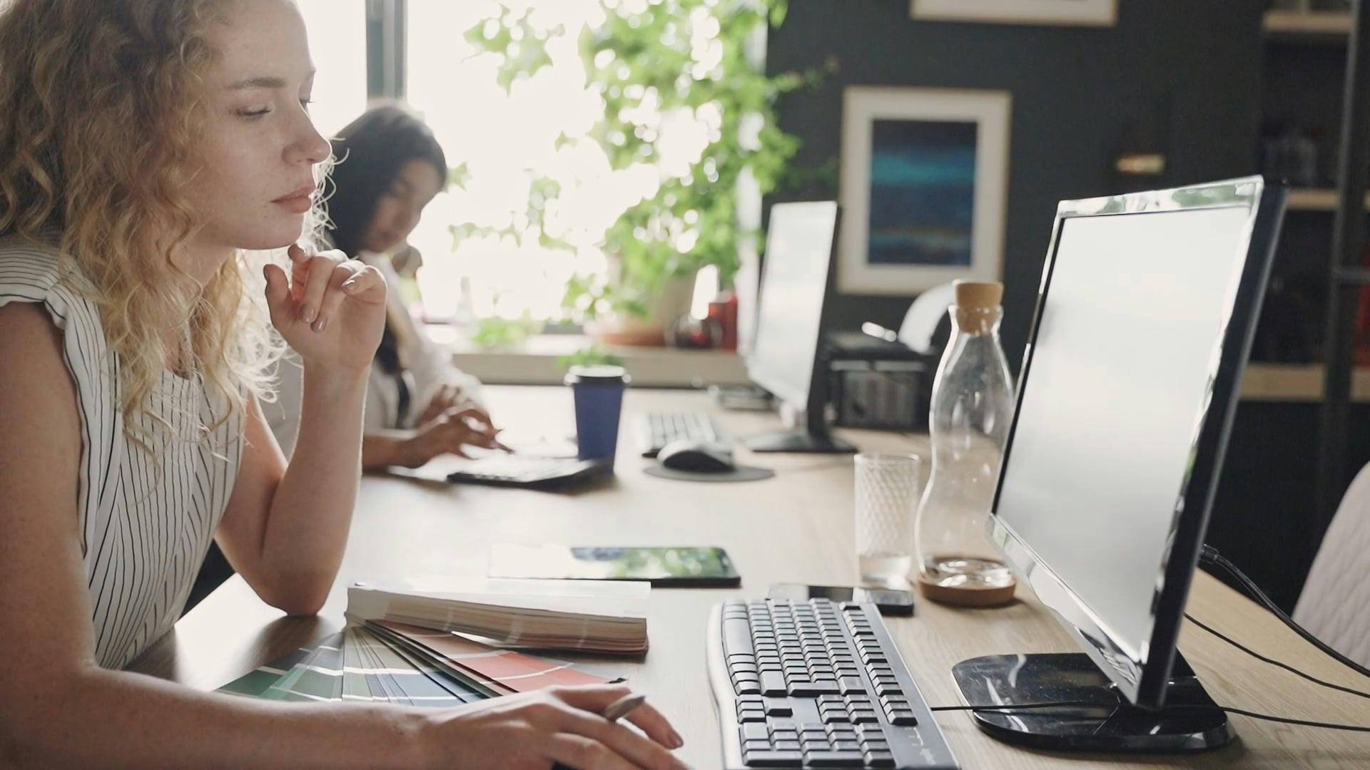 Women Working In a Office · Free Stock Video