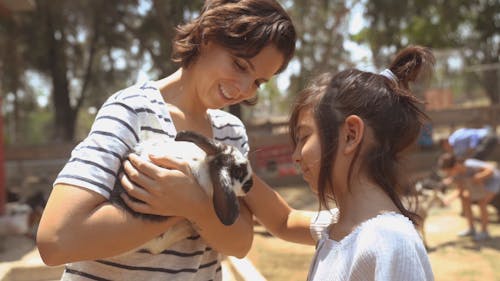 Girl Petting a Rabbit