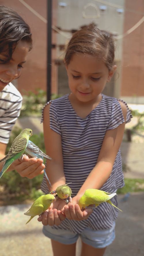 Woman and Child Feeding Parrots