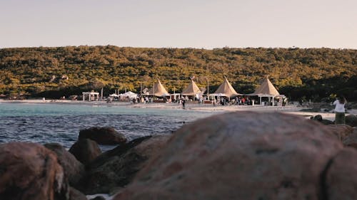 Party at the Beach