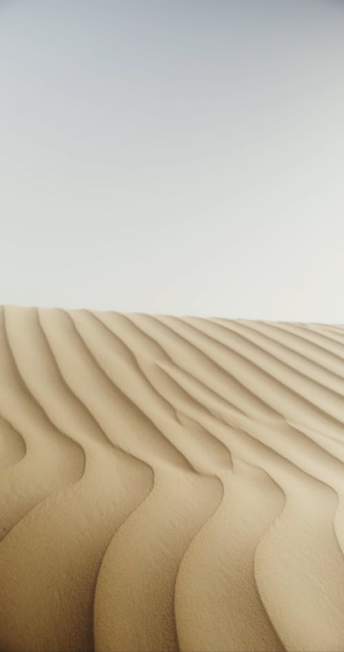Sand Ripples in the Desert