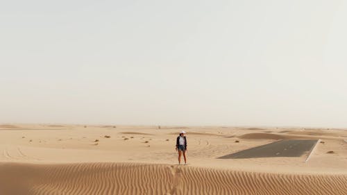 A Drone Footage of a Woman Standing in the Middle of the Desert