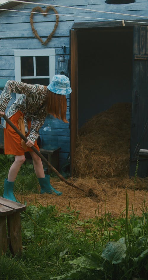 Woman Shovelling Hay Into The Barn