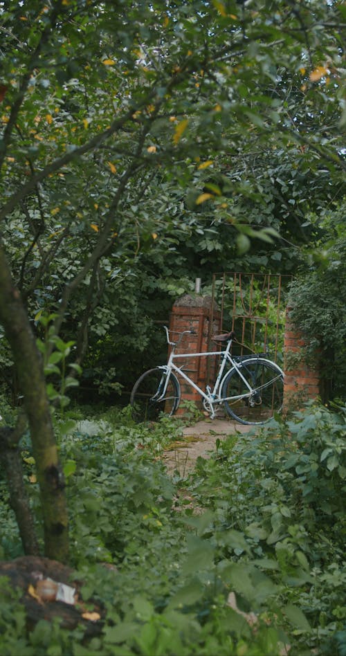 Women Walking while Looking at the Bicycle