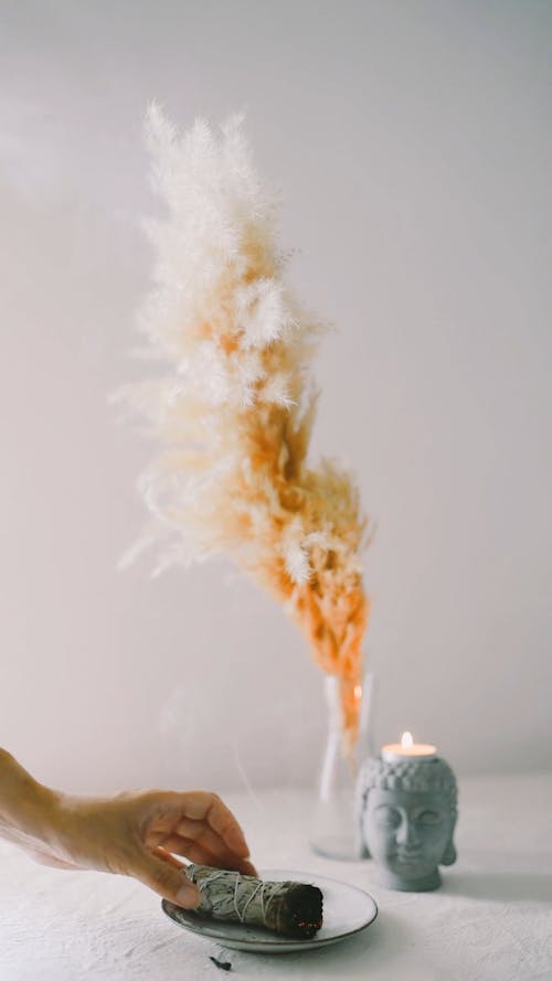 Smoke From a Sage Incense on a Saucer