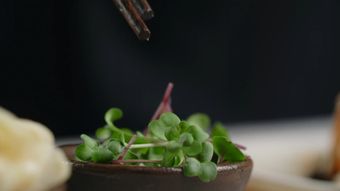 沾料视频素材视频素材高清视频视频素材