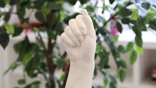 Close up of a Sculpture of a Hand