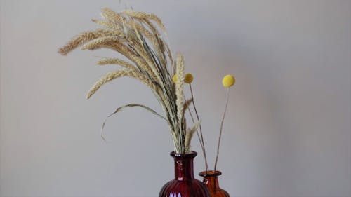 A Person Putting a Flower on the Vase