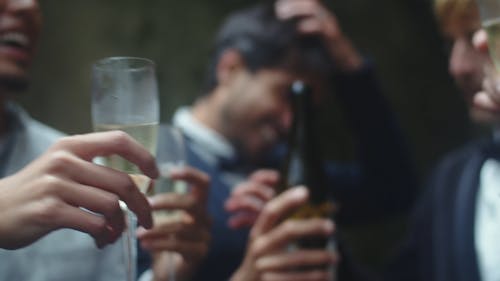 People Having a Toast