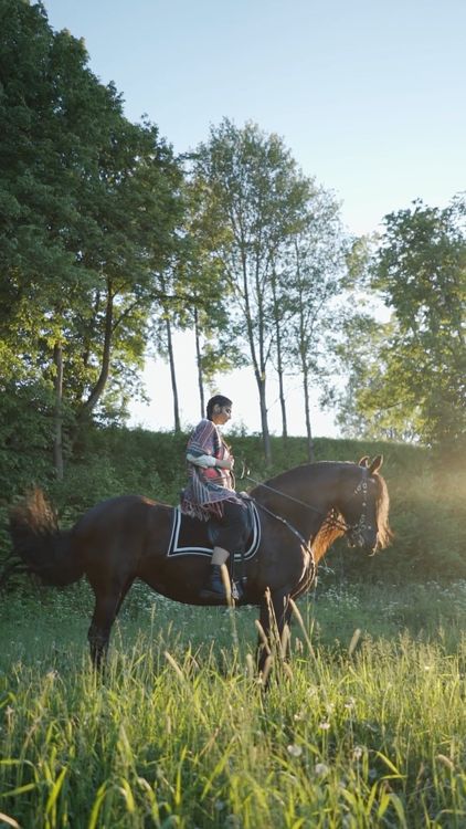 A Woman Riding a Horse Free Stock Video Footage, Royalty-Free 4K & HD ...