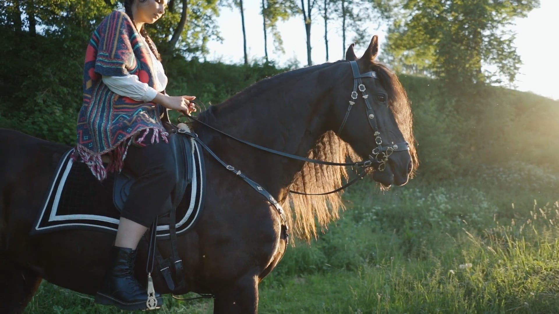 Woman Riding a Horse Free Stock Video Footage, Royalty-Free 4K & HD ...
