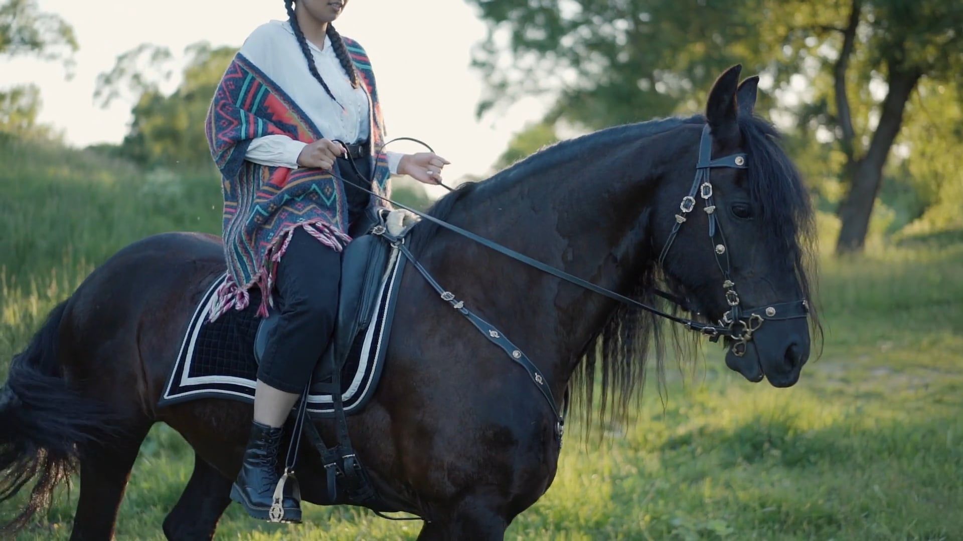 A Woman Riding a Black Horse Free Stock Video Footage, Royalty-Free 4K ...