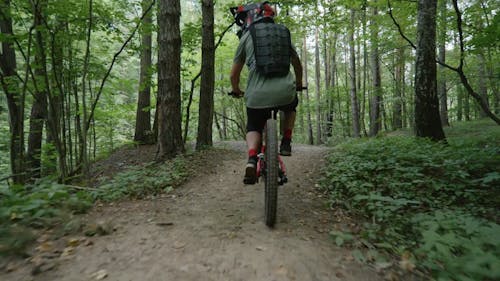 A Cyclist Biking in a Forest Trail