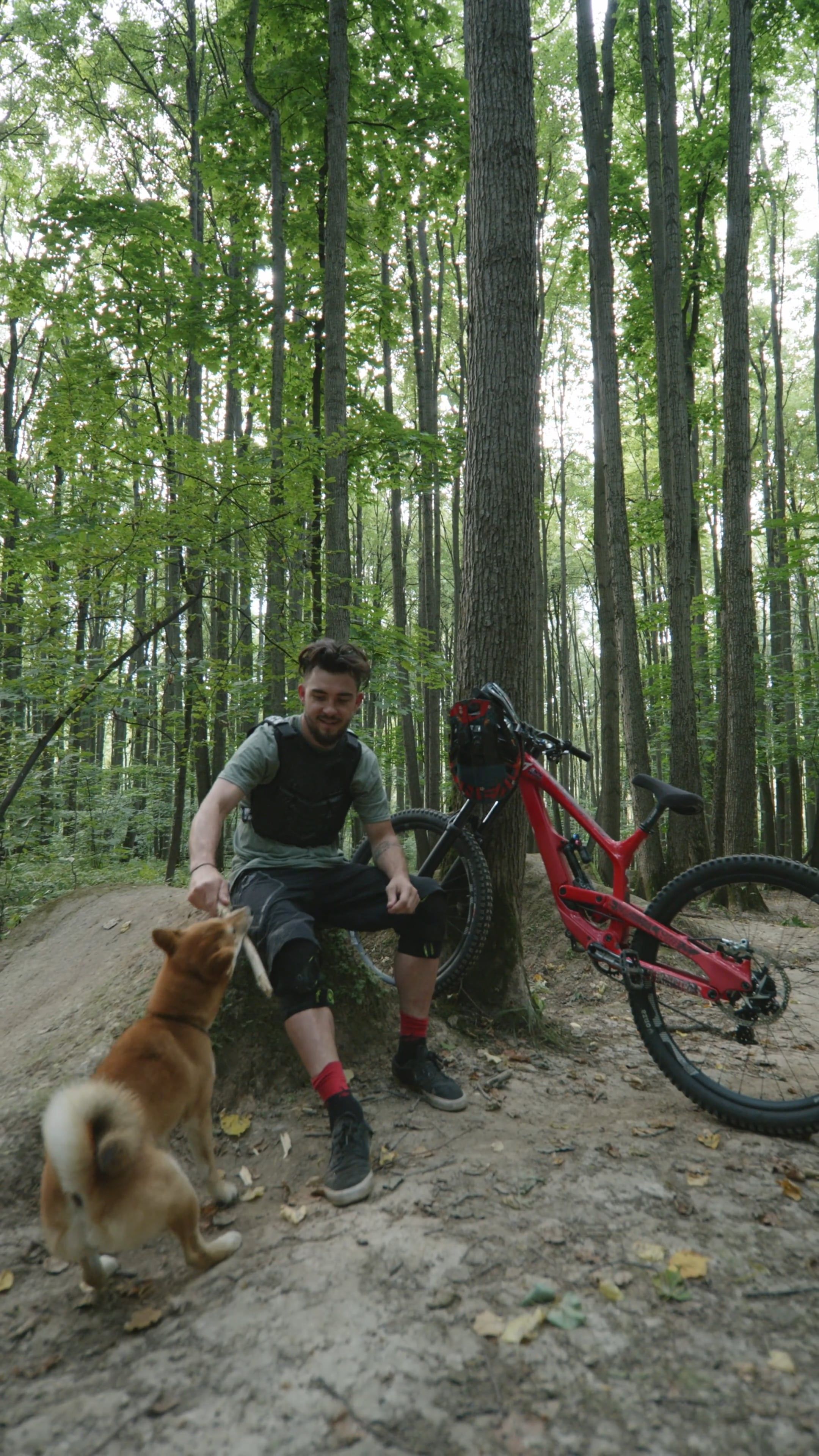 Bicycle Dog Videos, Download The BEST Free 4k Stock Video Footage