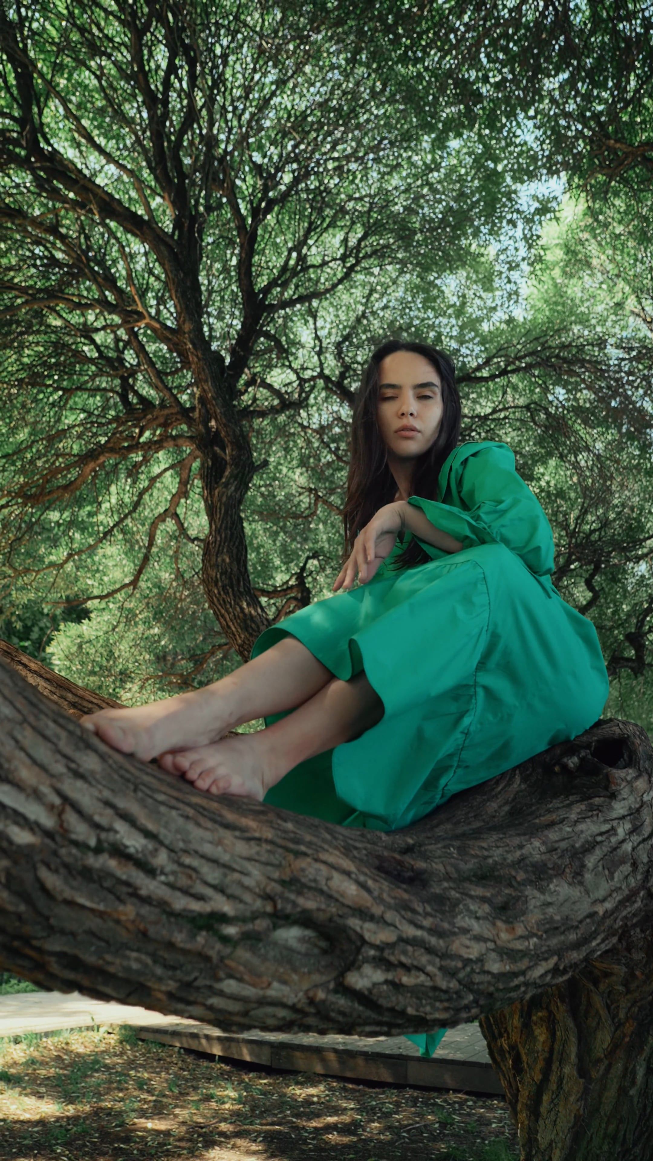 green dress video Woman On a Branch of a Tree cf-size-38