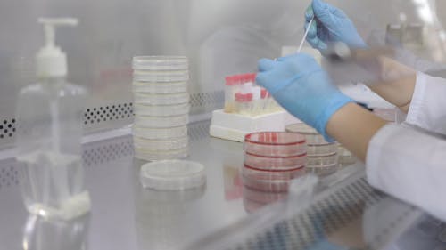 A Lab Technician Working with Samples 