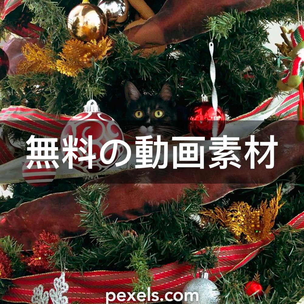 クリスマスボールと一致する動画 Pexels 無料の動画素材