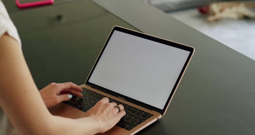 Person Using a Laptop