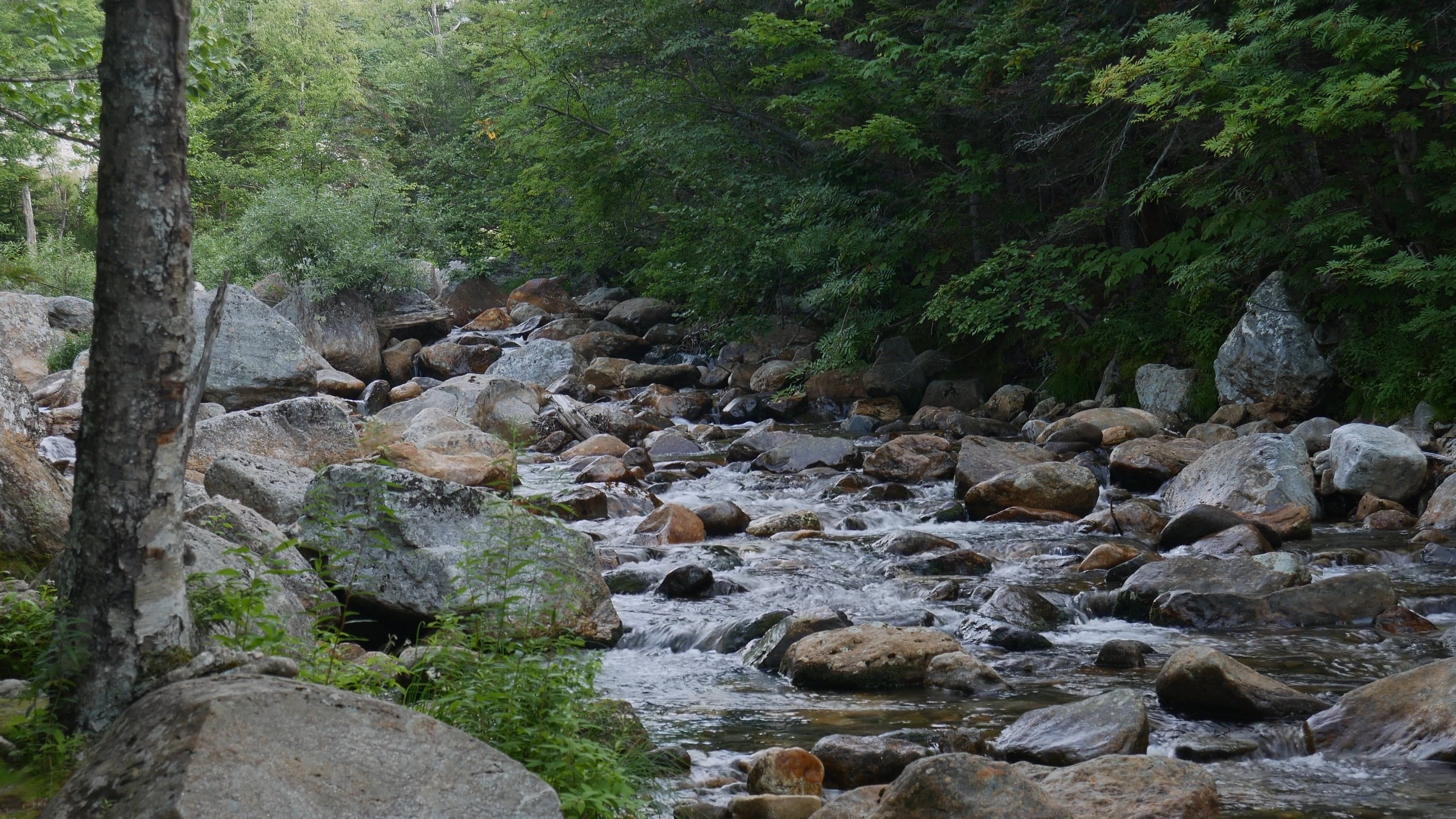 Water Flowing in the River Free Stock Video Footage, Royalty-Free 4K ...
