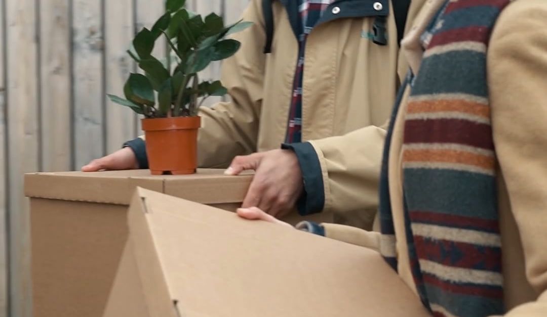 People Holding Box People Holding Boxes While Walking Free Stock Video Footage, Royalty ...